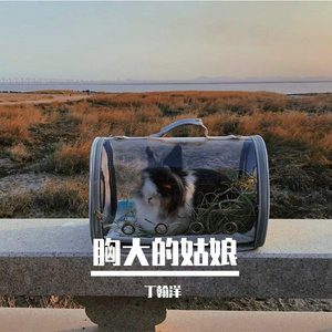 胸大的姑娘 (翻自 留声玩具)