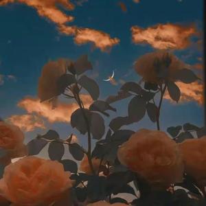 春季限定【prod.by Rick1y]