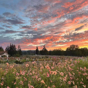 你的世界里并不缺我
