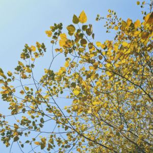 有你（Prod.by Morrow x FAS)