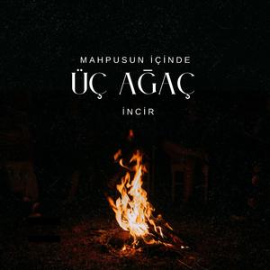 Mahpusun İçinde Üç Ağaç İncir