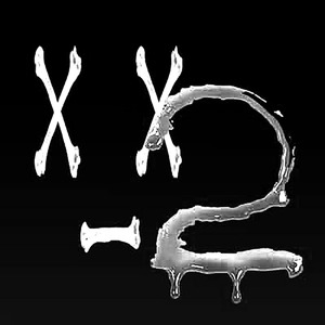 x_x 2