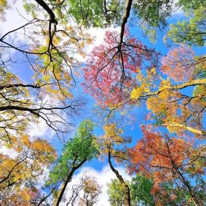 Bright colorful day