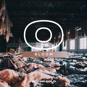 Bloom