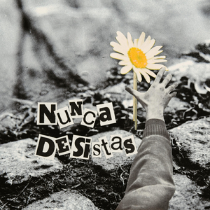 Nunca Desistas