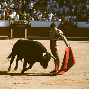 Spanish Love (Amor español-Lyrics)