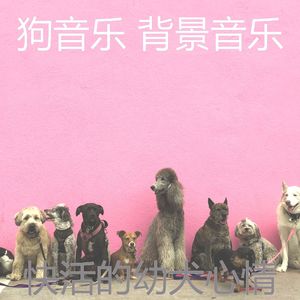 抚慰的训练你的狗回忆