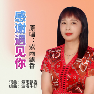 感谢遇见你--紫雨飘香原版 伴奏