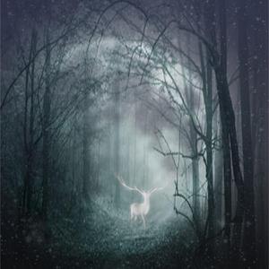 与君归【《二哈和他的白猫师尊》同人曲（纯歌版）】