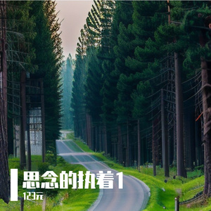 执着的思念