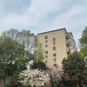 追光少年-薛刚