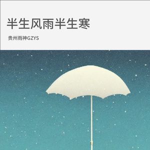 半生风雨半生寒