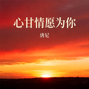 心甘情愿为你