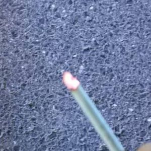 别想我(prod.Eee.T&Brickyboy)