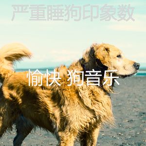 有趣幼犬情怀