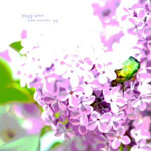 사랑하는 이들을 위한 힐링과 휴식의 카페음악 - 연인들을 위하여