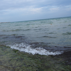 Одинокий воин