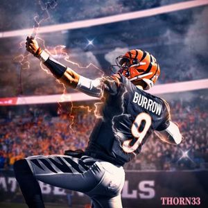 乔伯罗(Joe Burrow)