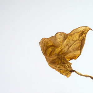 30대를 바라보는 동안에