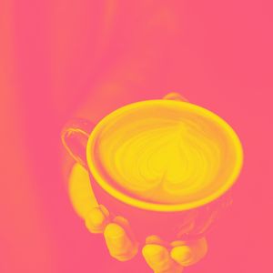 一尘不染程式设计印象数