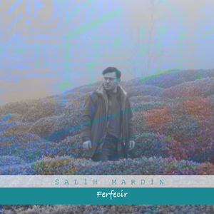 Ferfecir