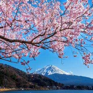 时光拼图中的你我