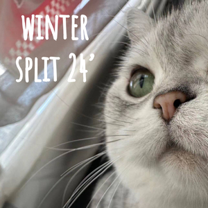 rainy night apartment