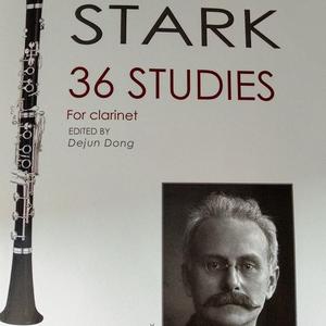 STARK 36 1 纯和弦伴奏