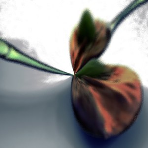 Conservable