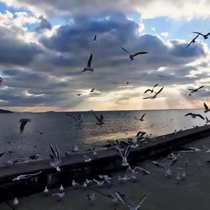 我们的爱（抖音热版DJ）