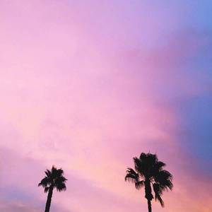 k-pizza - Nite Talks