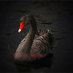 Piece Of Heaven（MR-MENG remix）