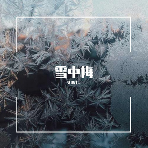 WINTER FLOWER（雪中梅）（翻自：Younha）