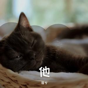 落下凡间的天使