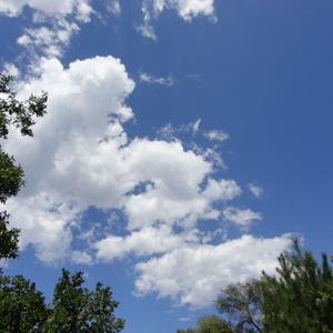 世界赠予我的（钢琴小提琴合奏曲）