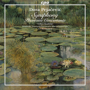 Symphony in F-Sharp Minor, Op. 41:II. Andante sostenuto