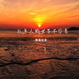 成年人的世界不容易