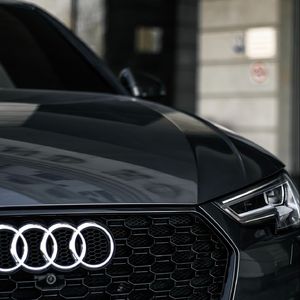 《荒野玫瑰》moy-抒情-民谣