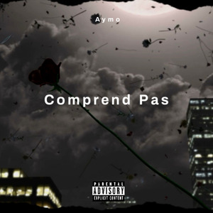 Comprend Pas