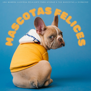 Mascotas Cómodas