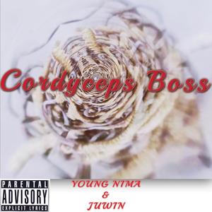 虫草老板（prod.14rocketboi）