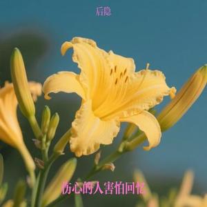 伤心的人害怕回忆