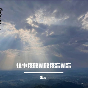 往事该放就放该忘就忘