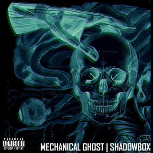 Shadowbox