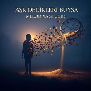 Aşk Dedikleri Buysa