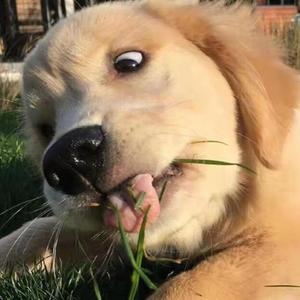 慢慢升空（翻自PO8)