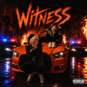 Witness