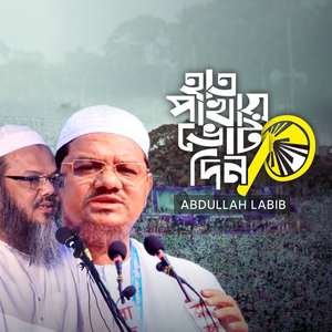 হাত পাখা