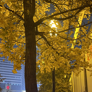 冰冷文字不如见面相拥