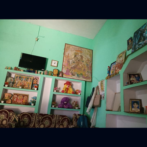 PUSHPA